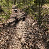 Review photo of Turnhole Backcountry Campsite — Mammoth Cave National Park by Shelly S., April 28, 2020