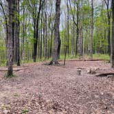 Review photo of Turnhole Backcountry Campsite — Mammoth Cave National Park by Shelly S., April 28, 2020