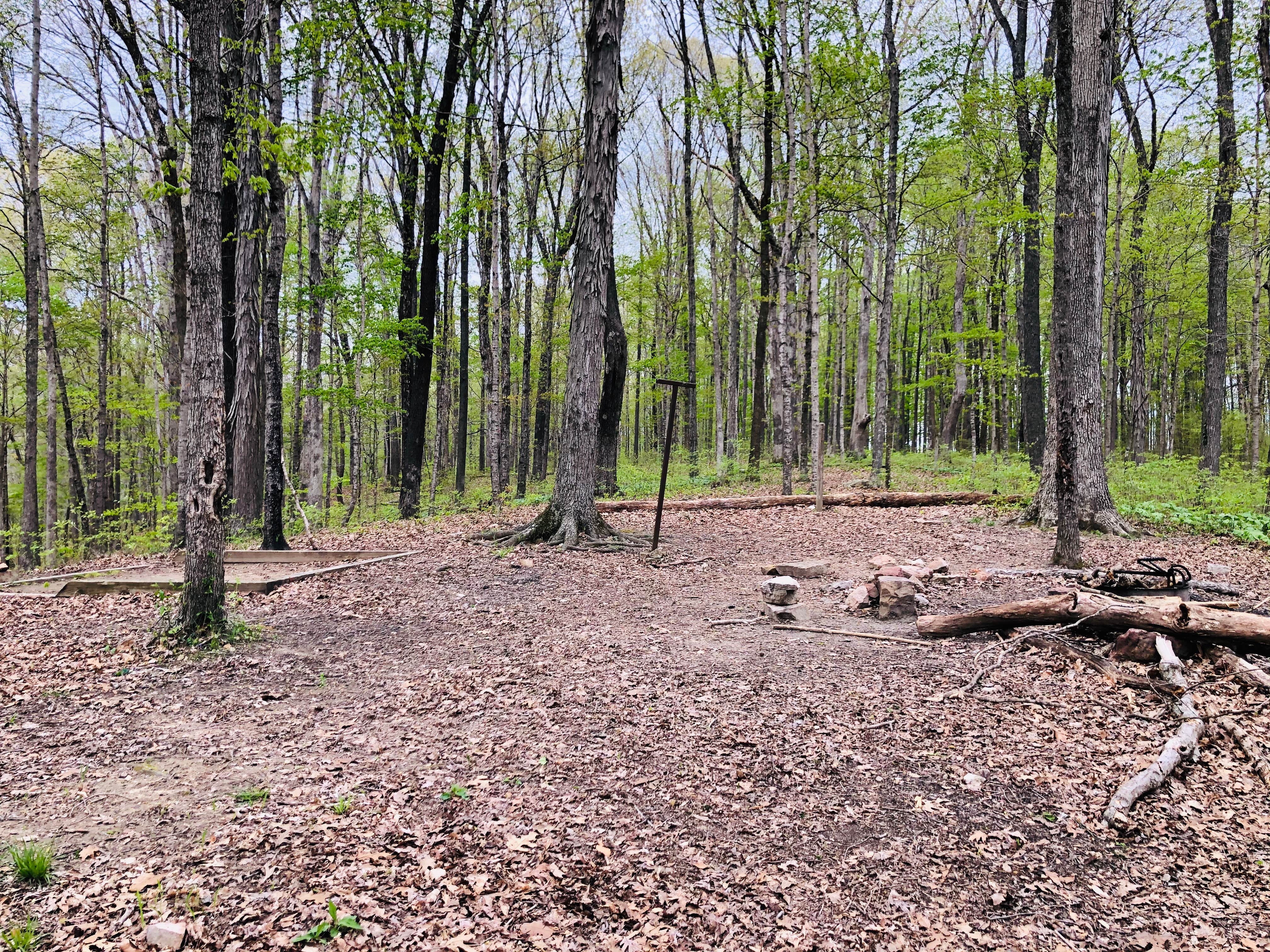 Camper submitted image from Turnhole Backcountry Campsite — Mammoth Cave National Park - 2