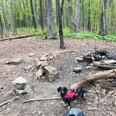 Review photo of Turnhole Backcountry Campsite — Mammoth Cave National Park by Shelly S., April 28, 2020