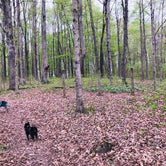 Review photo of Turnhole Backcountry Campsite — Mammoth Cave National Park by Shelly S., April 28, 2020