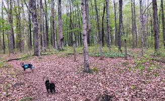 Shelly S.'s photo of camping with pets at Turnhole Backcountry Campsite — Mammoth Cave National Park near Granville, TN