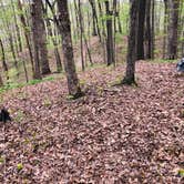 Review photo of Turnhole Backcountry Campsite — Mammoth Cave National Park by Shelly S., April 28, 2020