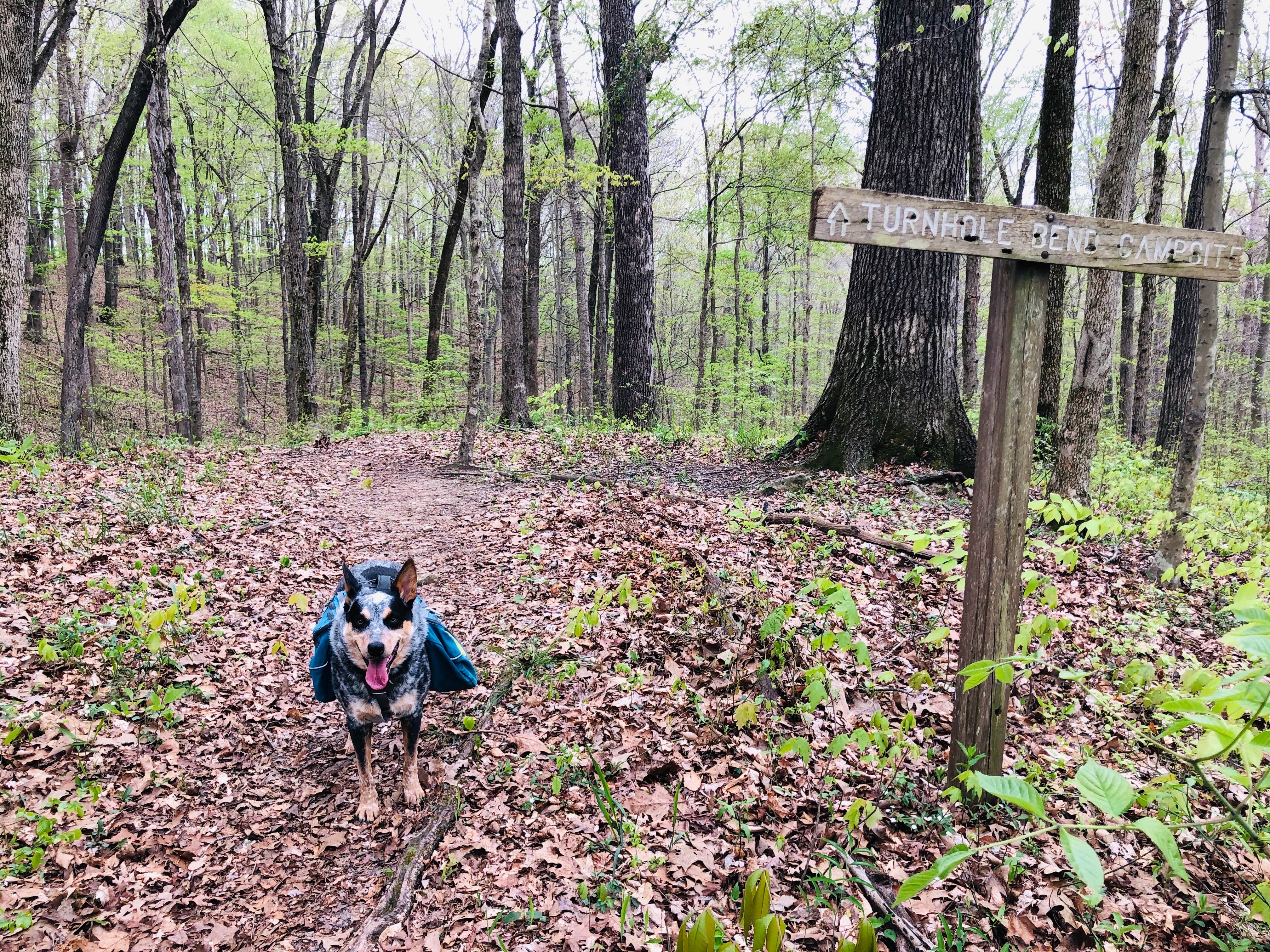 Camper-submitted photo at Turnhole Backcountry Campsite — Mammoth Cave National Park near Dale Hollow Lake