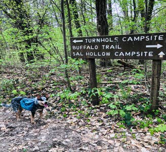 Camper-submitted photo from Turnhole Backcountry Campsite — Mammoth Cave National Park