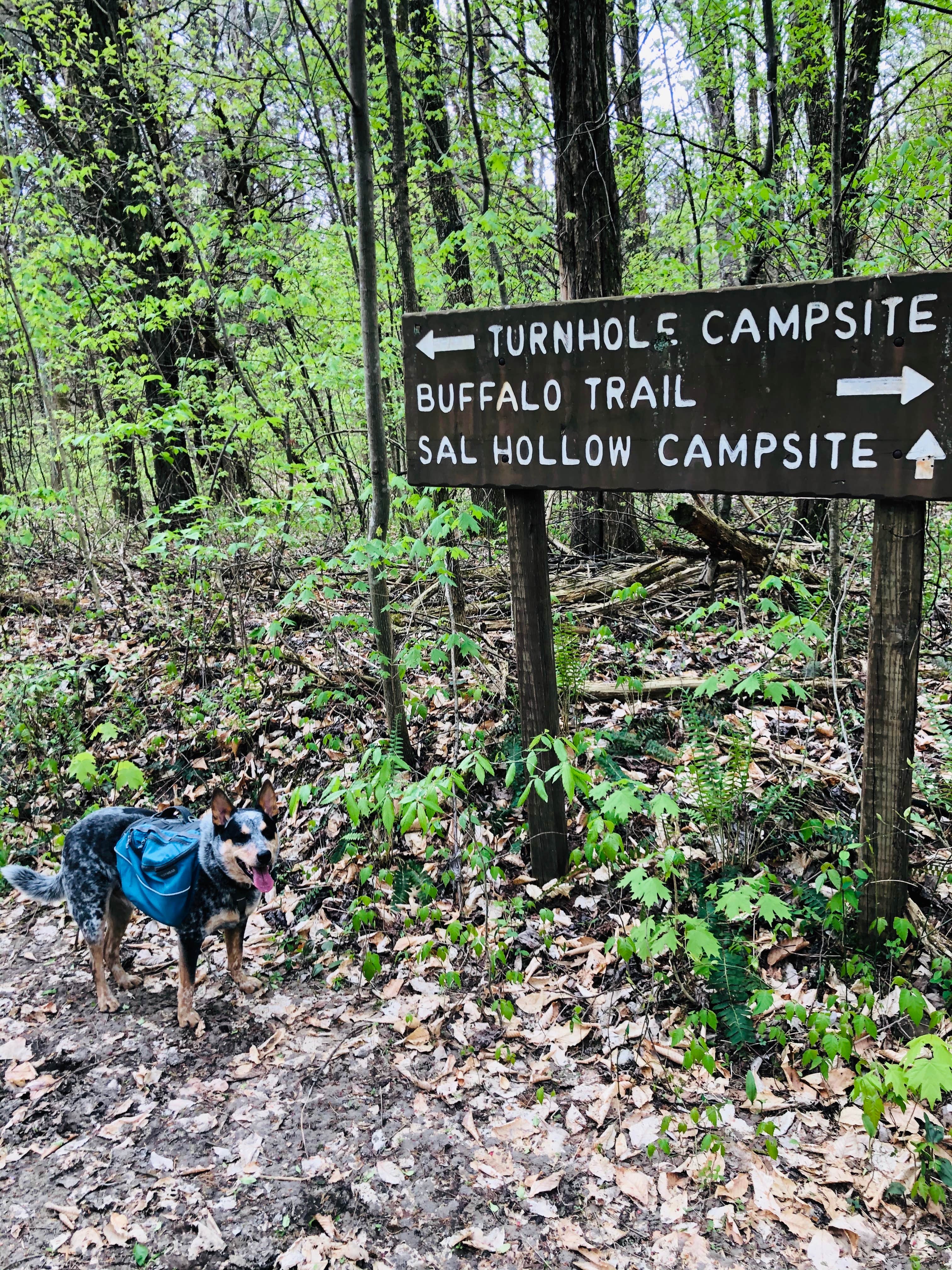 Camper submitted image from Turnhole Backcountry Campsite — Mammoth Cave National Park - 5