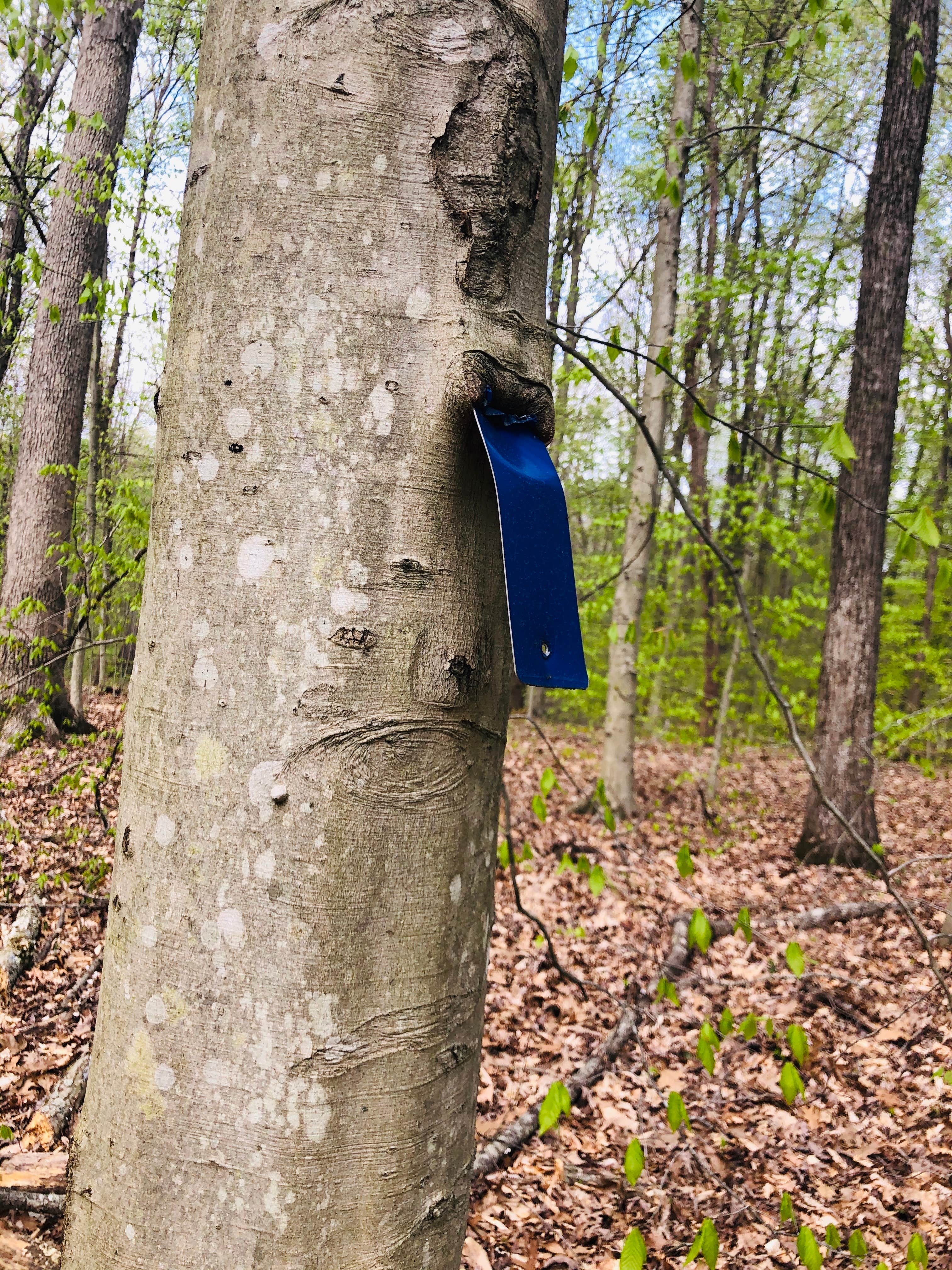 Camper-submitted photo at Turnhole Backcountry Campsite — Mammoth Cave National Park near Carthage, TN