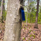 Review photo of Turnhole Backcountry Campsite — Mammoth Cave National Park by Shelly S., April 28, 2020