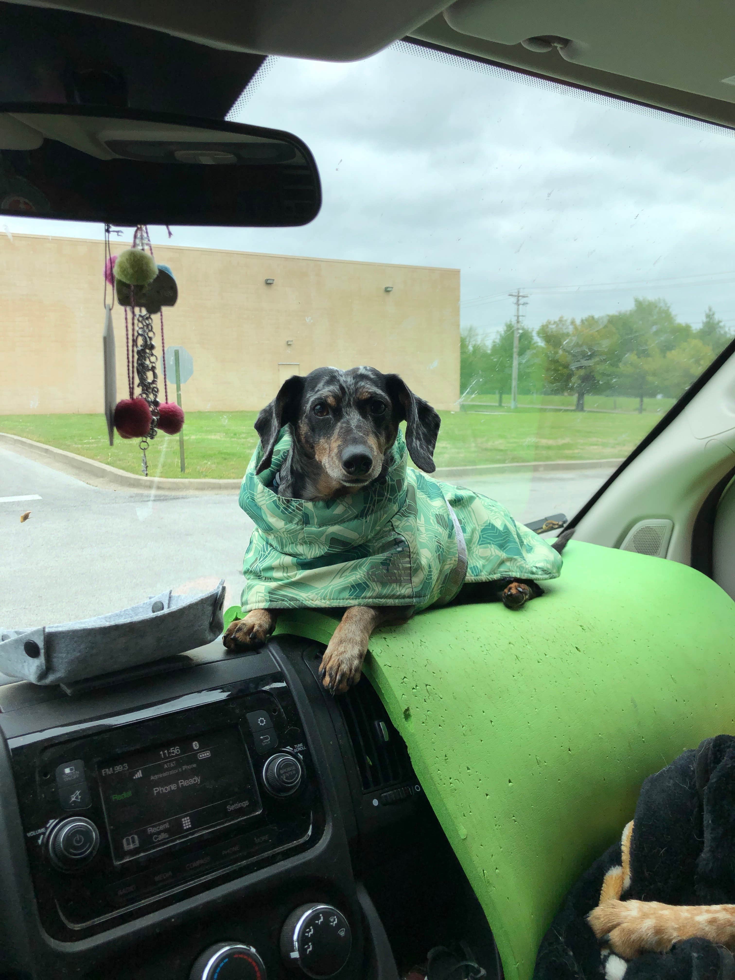 Shelly S.'s photo of camping with pets at Turnhole Backcountry Campsite — Mammoth Cave National Park near Gallatin, TN