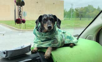 Shelly S.'s photo of camping with pets at Turnhole Backcountry Campsite — Mammoth Cave National Park near Lafayette, TN