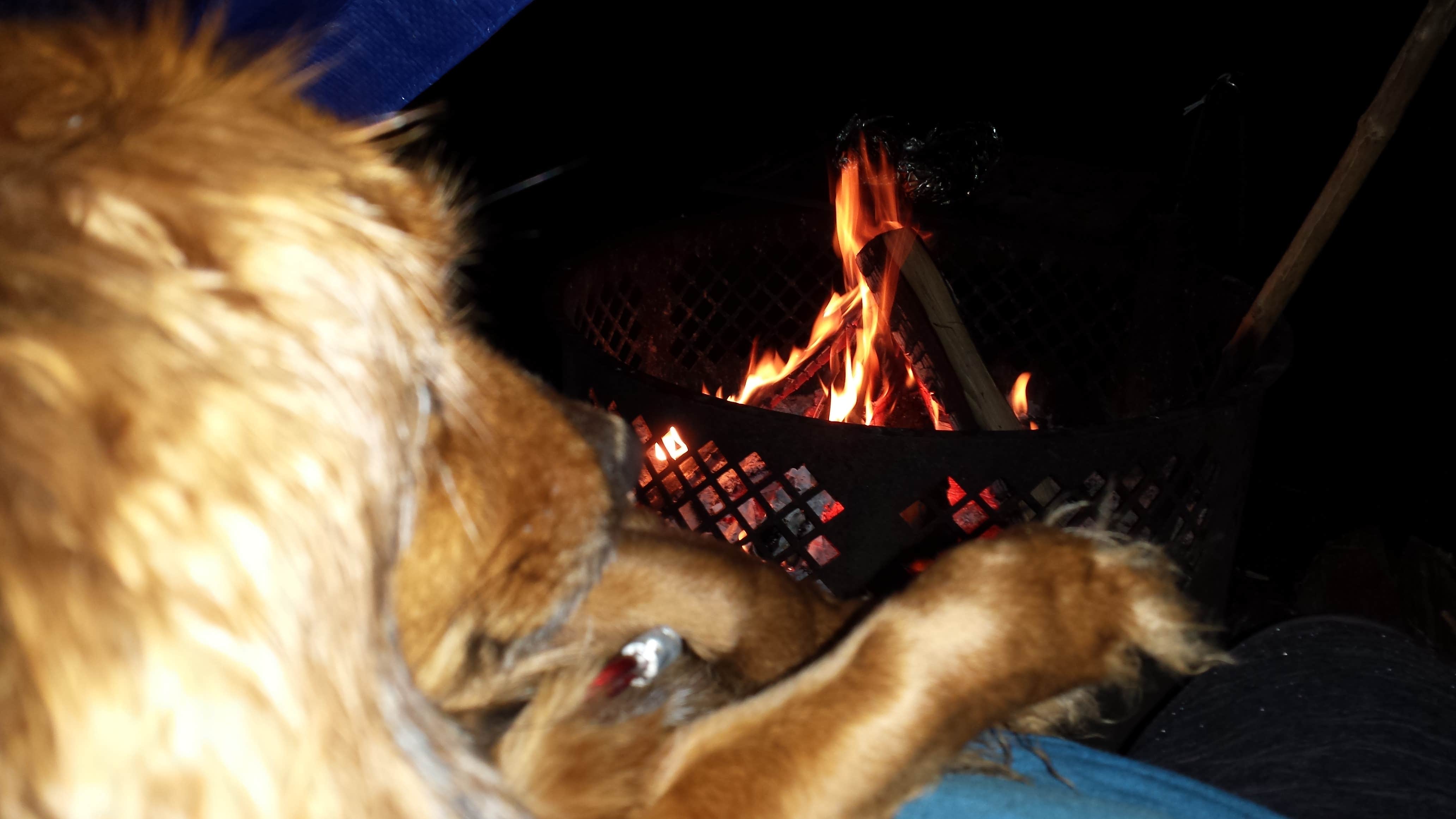 Camper submitted image from Mount Hood National Forest Sunstrip Campground - TEMPORARILY CLOSE DUE TO FIRE DAMAGE - 4