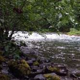 Review photo of Mount Hood National Forest Sunstrip Campground - TEMPORARILY CLOSE DUE TO FIRE DAMAGE by Rebekah H., April 28, 2020