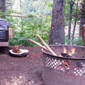 Review photo of Mount Hood National Forest Sunstrip Campground - TEMPORARILY CLOSE DUE TO FIRE DAMAGE by Rebekah H., April 28, 2020