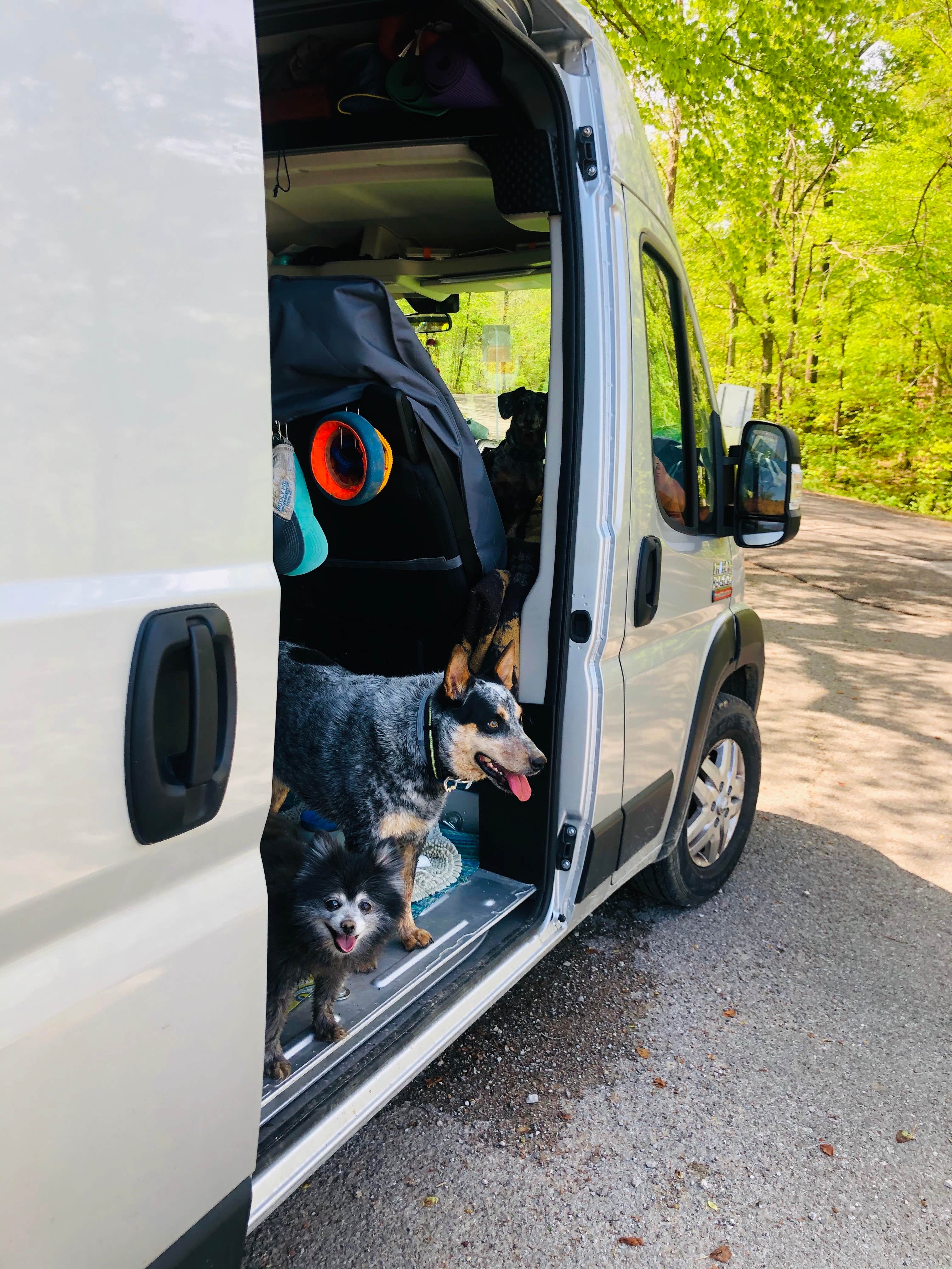 Shelly S.'s photo of camping with pets at Mammoth Cave Horse Camp — Mammoth Cave National Park near Hartford, KY