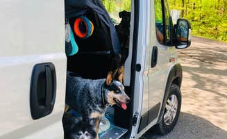 Shelly S.'s photo of camping with pets at Mammoth Cave Horse Camp — Mammoth Cave National Park near Mammoth Cave, KY
