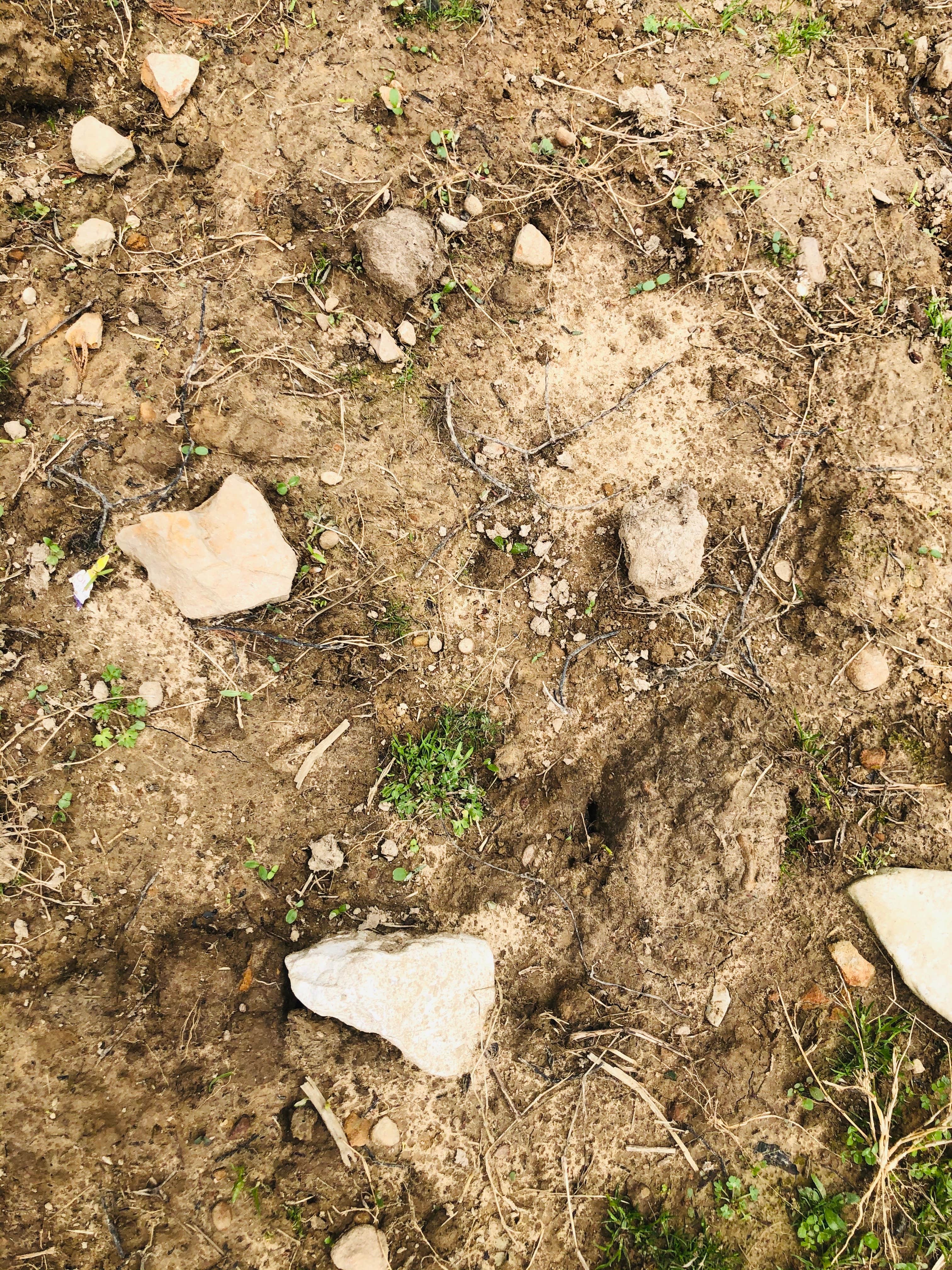 Camper-submitted photo at Mammoth Cave Horse Camp — Mammoth Cave National Park near Horse Cave, KY