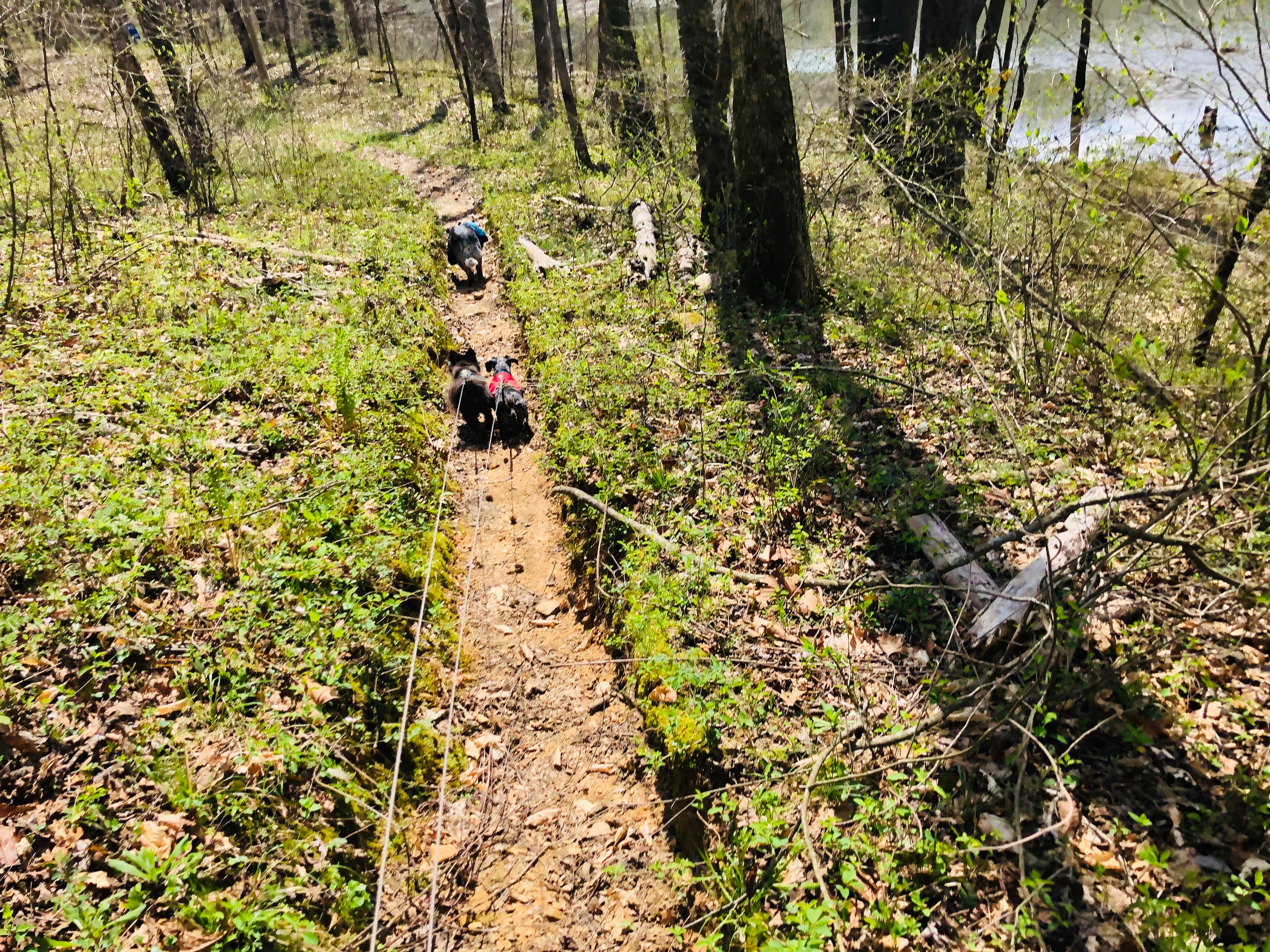 Camper-submitted photo at Mammoth Cave Horse Camp — Mammoth Cave National Park near Horse Cave, KY