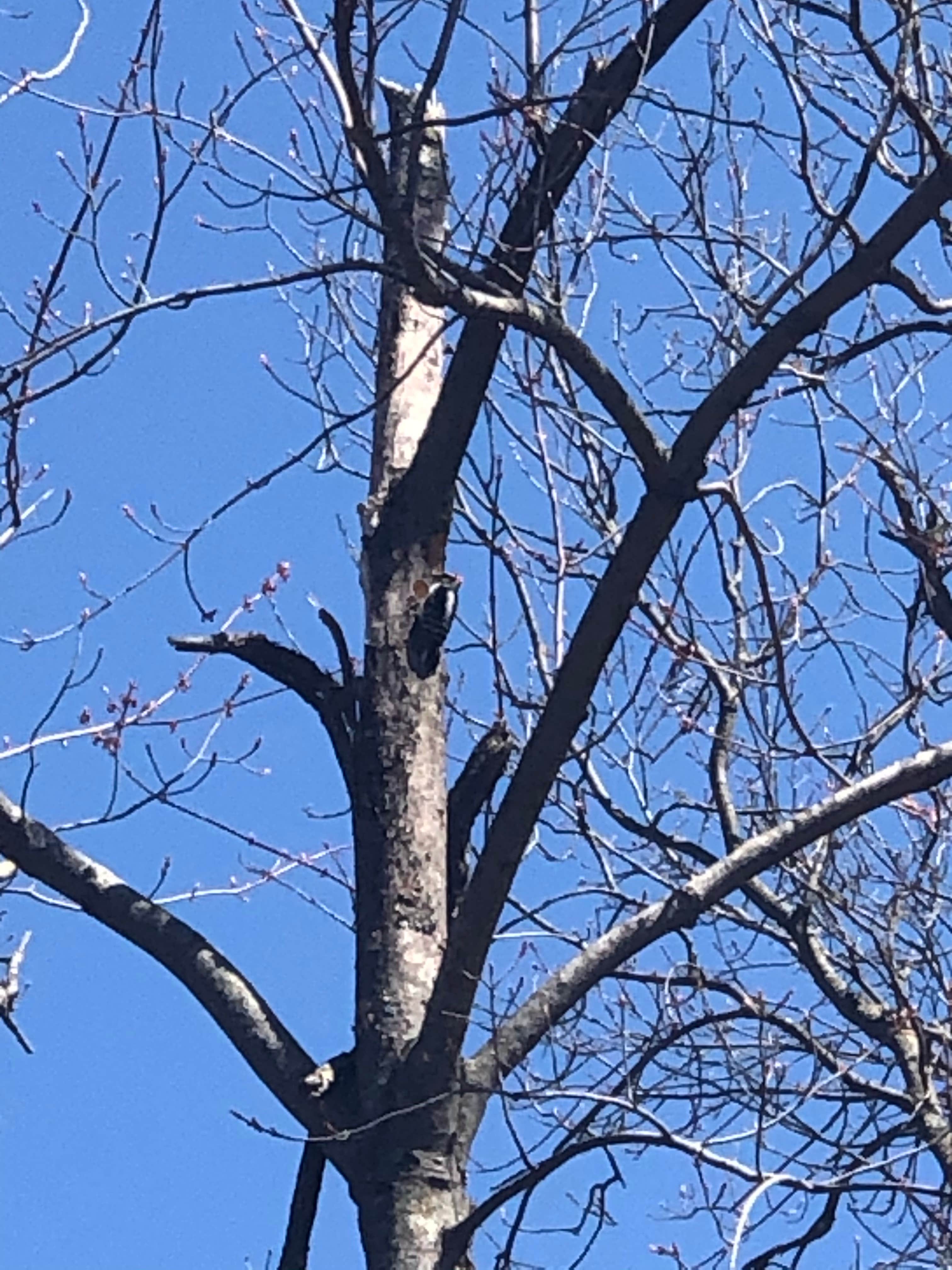 Camper submitted image from Fox Hill RV Park & Campground - 5
