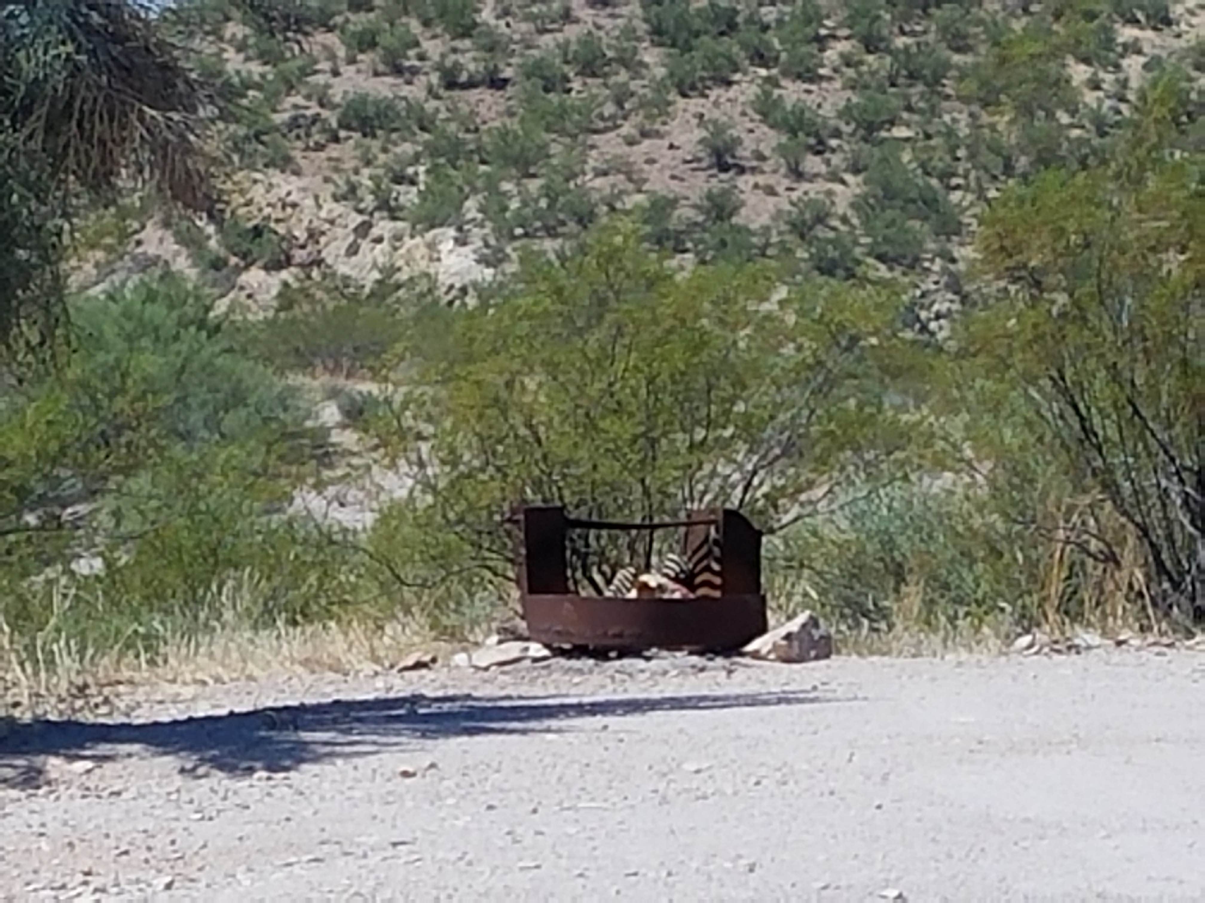 Camper-submitted photo at Constellation Park near Morristown, AZ