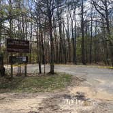 Review photo of Virgin Falls State Natural Area - Primitive by Lori H., April 28, 2020