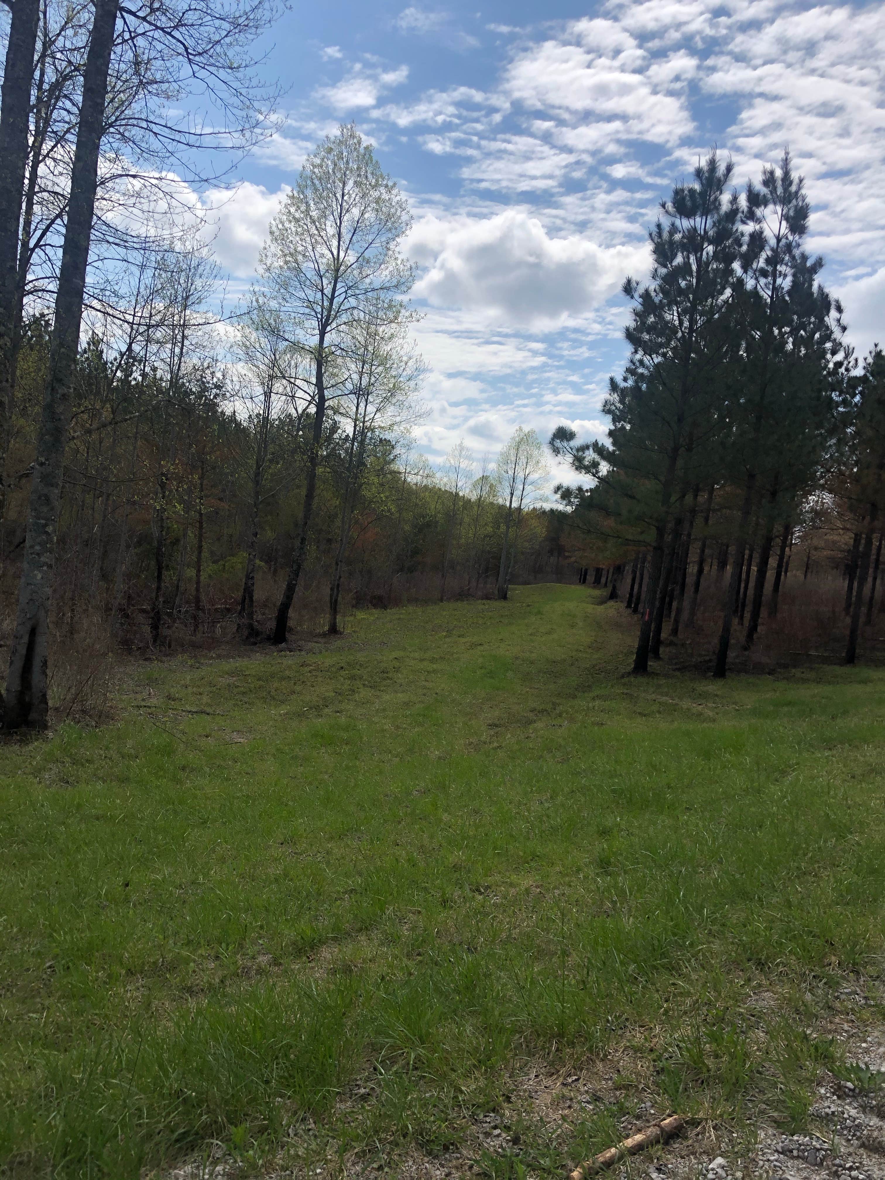 Camper-submitted photo at Virgin Falls State Natural Area - Primitive near Monterey, TN