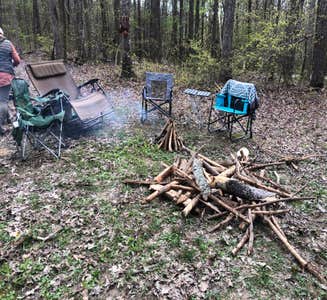 Camper-submitted photo from Virgin Falls State Natural Area - Primitive