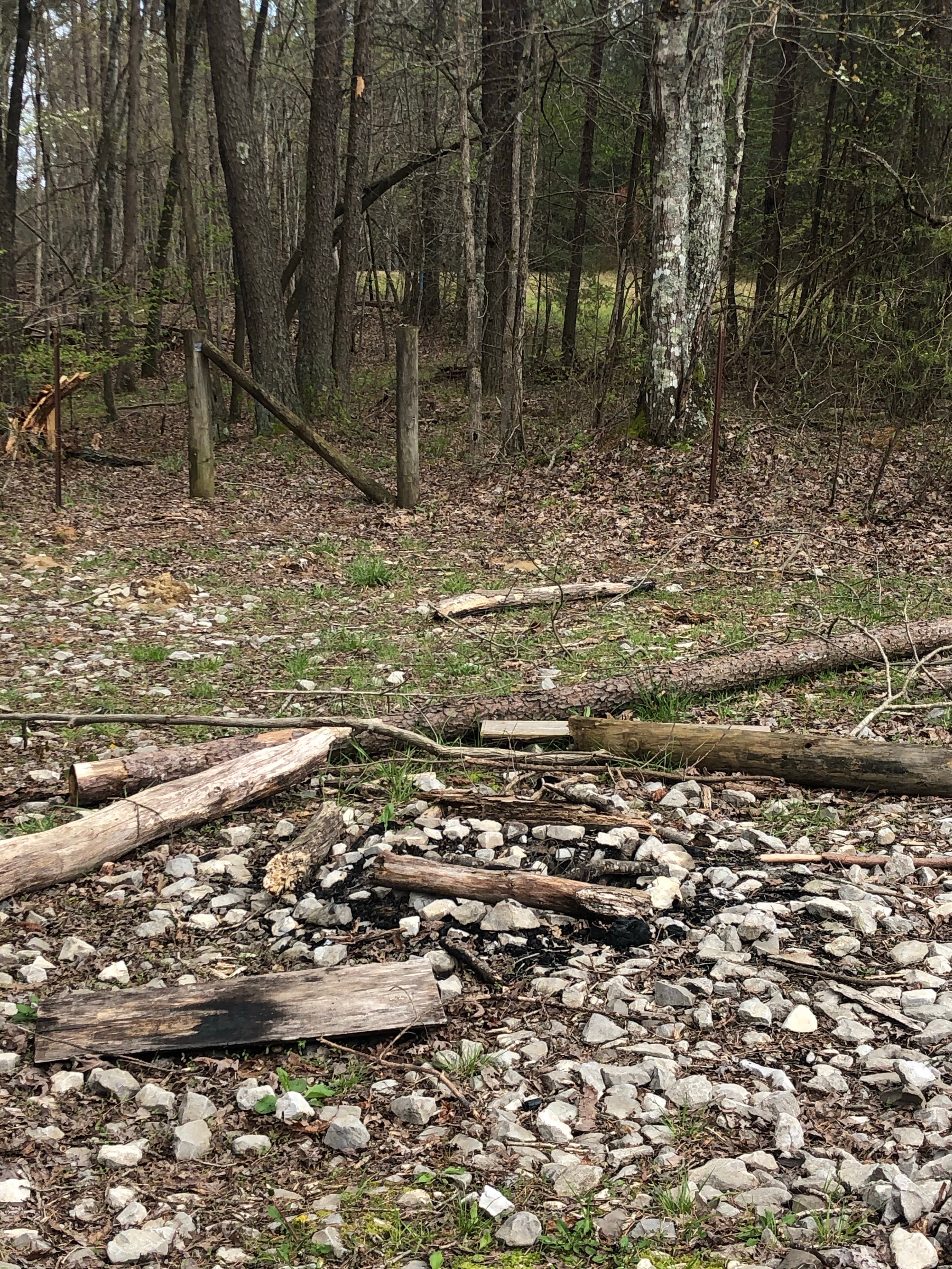 Camper submitted image from Virgin Falls State Natural Area - Primitive - 1