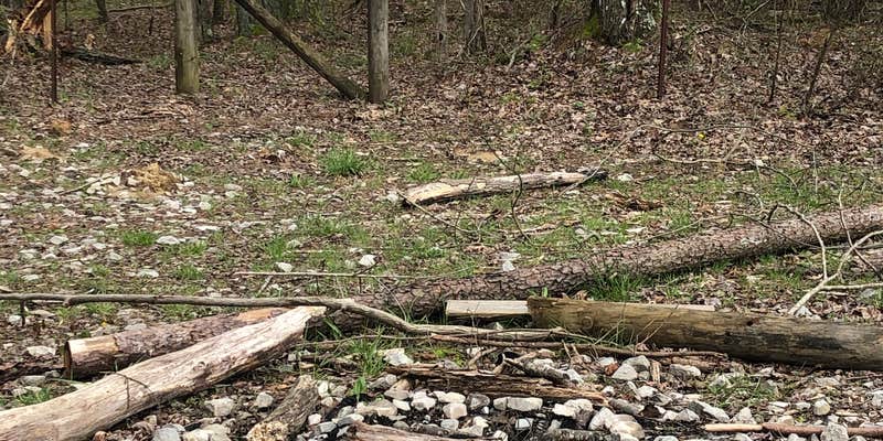 Camper submitted image from Virgin Falls State Natural Area - Primitive