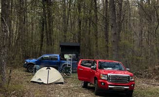 Lori H.'s photo at Virgin Falls State Natural Area - Primitive near Spencer, TN