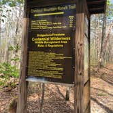 Review photo of Virgin Falls State Natural Area - Primitive by Lori H., April 28, 2020