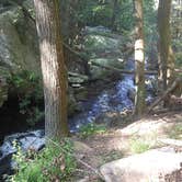 Review photo of Cloudland Canyon State Park Campground by Shea M., April 28, 2020