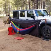 Review photo of Pumphouse Wash (FR 237) Dispersed Camping Area by Robert G., April 28, 2020