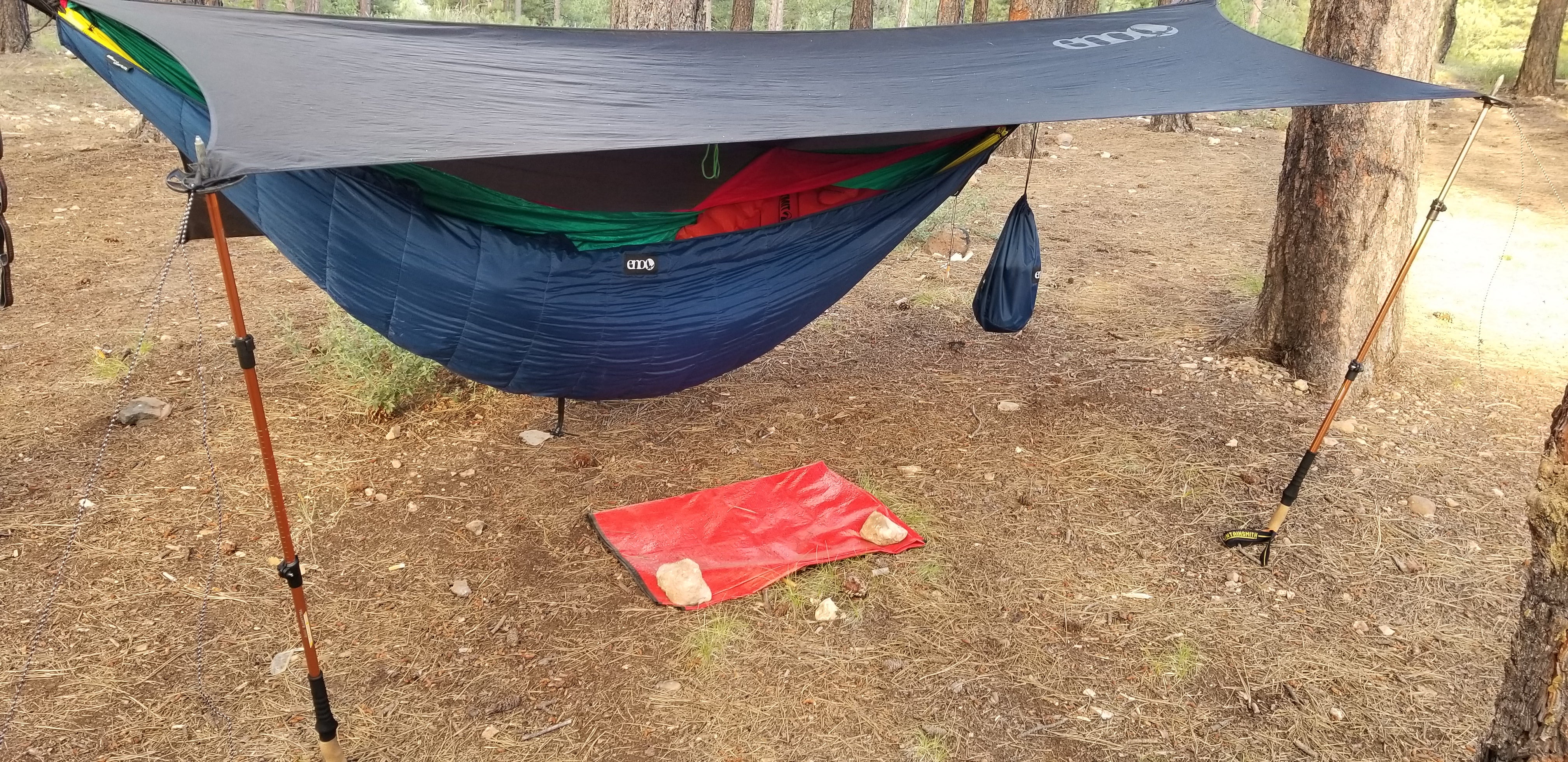 Wonderful hammock camping in the pines