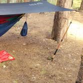 Review photo of Pumphouse Wash (FR 237) Dispersed Camping Area by Robert G., April 28, 2020