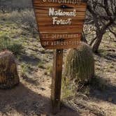 Review photo of Kartchner Caverns State Park Campground by Robert G., April 28, 2020