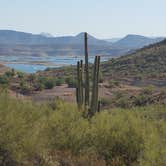 Review photo of Lake Pleasant Regional Park Campground by Staci R., September 17, 2017