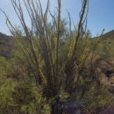 Review photo of Lake Pleasant Regional Park Campground by Staci R., September 17, 2017