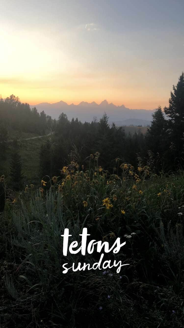 Camper-submitted photo at Curtis Canyon Dispersed Camping near Grand Teton National Park