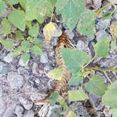 Review photo of Lake Pleasant Regional Park Campground by Staci R., September 17, 2017