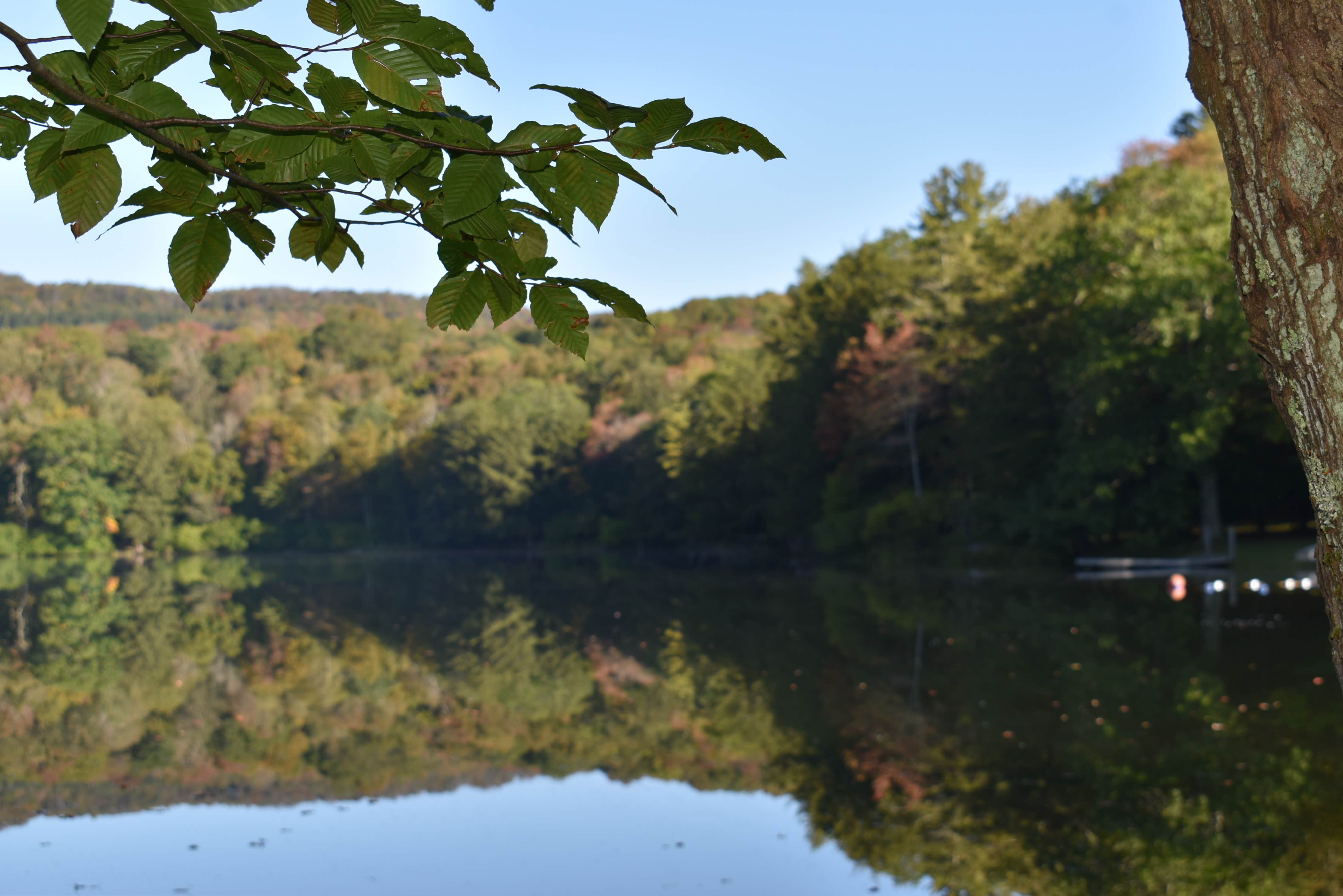 Camper-submitted photo at Little Pond Campground near Shandaken, NY