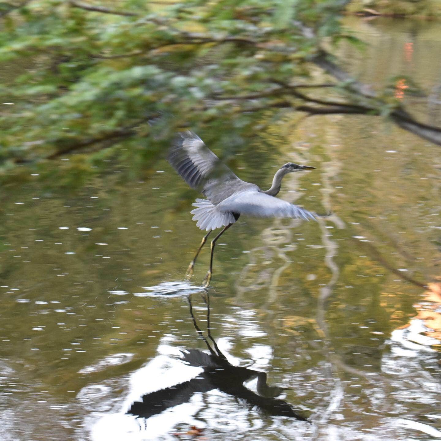 Camper-submitted photo at Little Pond Campground near Shandaken, NY