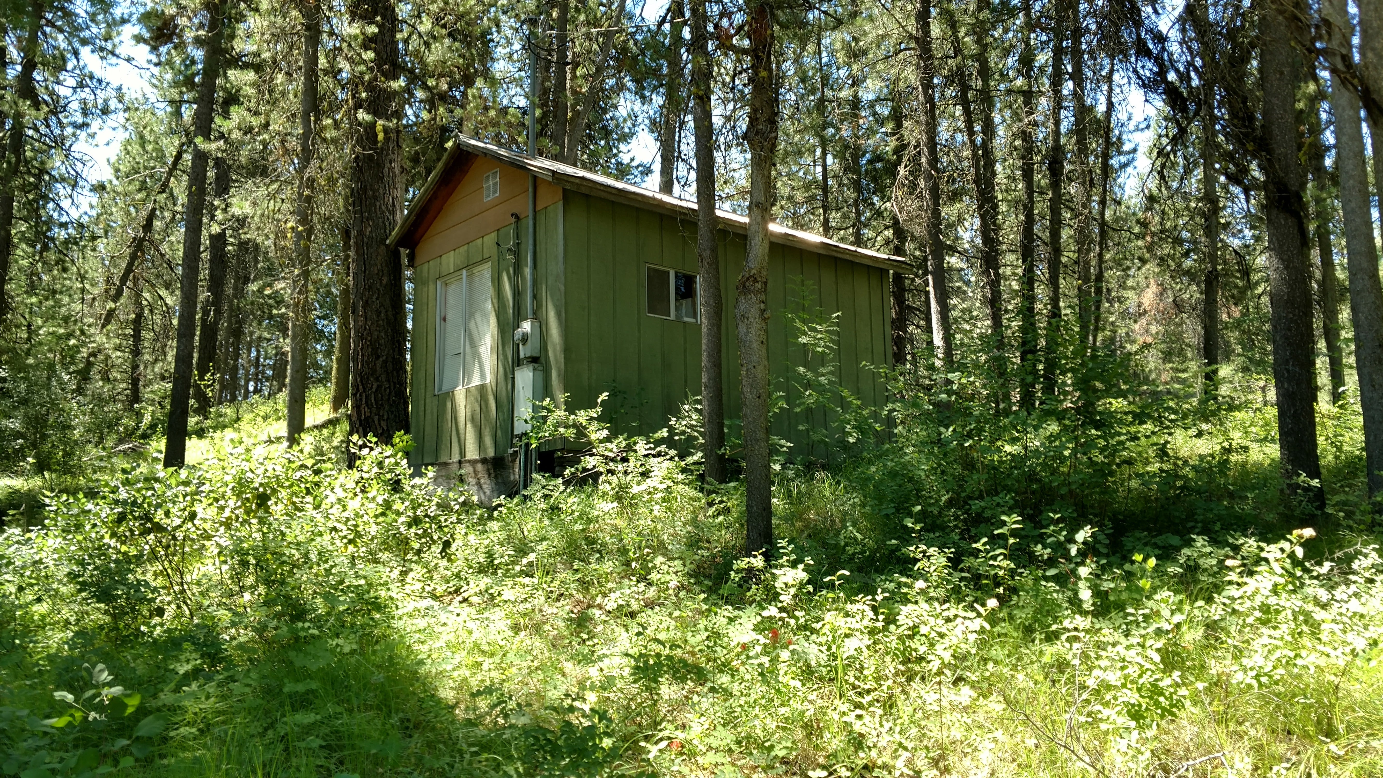 Hunter cabin