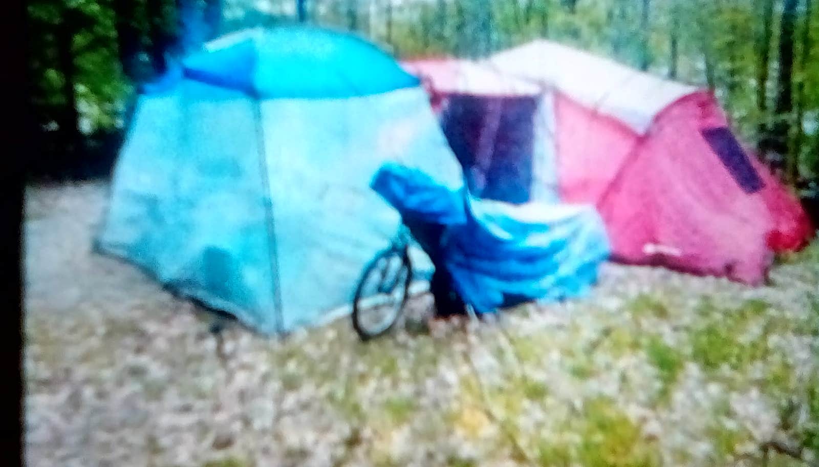 Camper-submitted photo at Mills Norrie State Park Campground near Cornwall-on-Hudson, NY