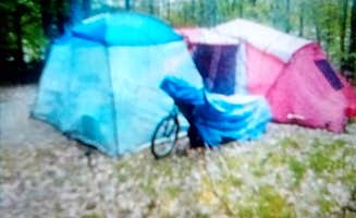 Frank M.'s photo at Mills Norrie State Park Campground near Lake Katrine, NY