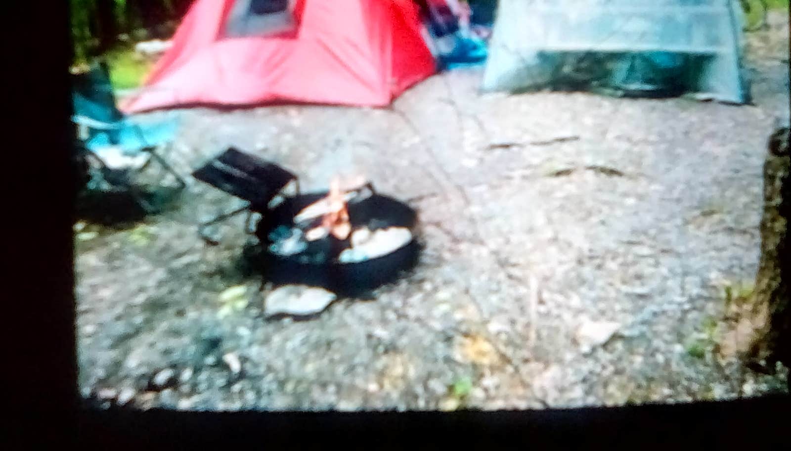 Frank M.'s photo at Mills Norrie State Park Campground near Lake Katrine, NY