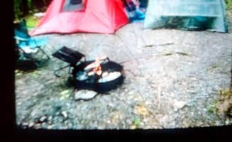 Frank M.'s photo at Mills Norrie State Park Campground near Lake Katrine, NY