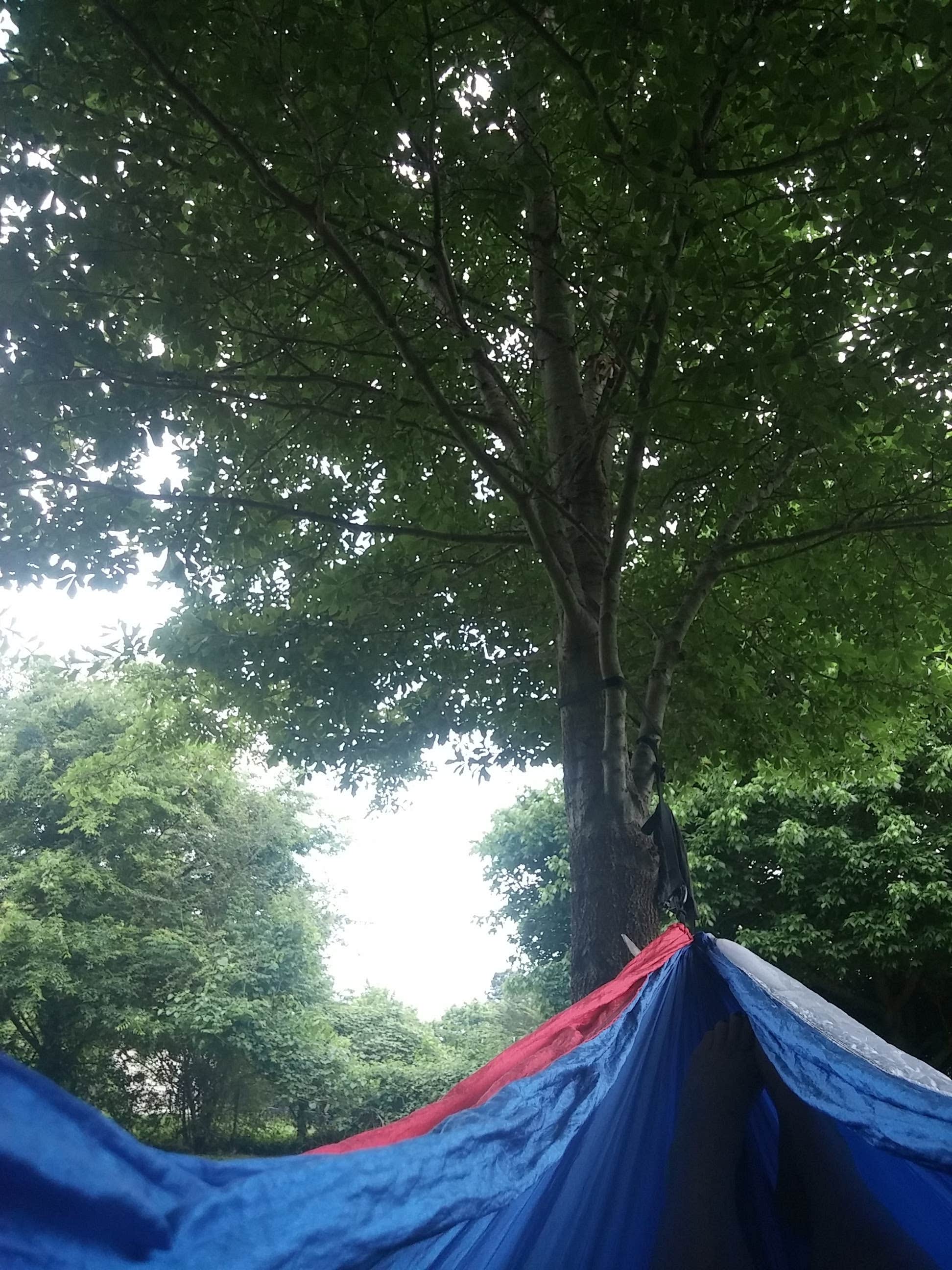 Shea M.'s photo at DeSoto State Park Campground near Rainsville, AL