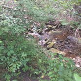Review photo of Parksville Lake RV Campground by Scott H., September 17, 2017