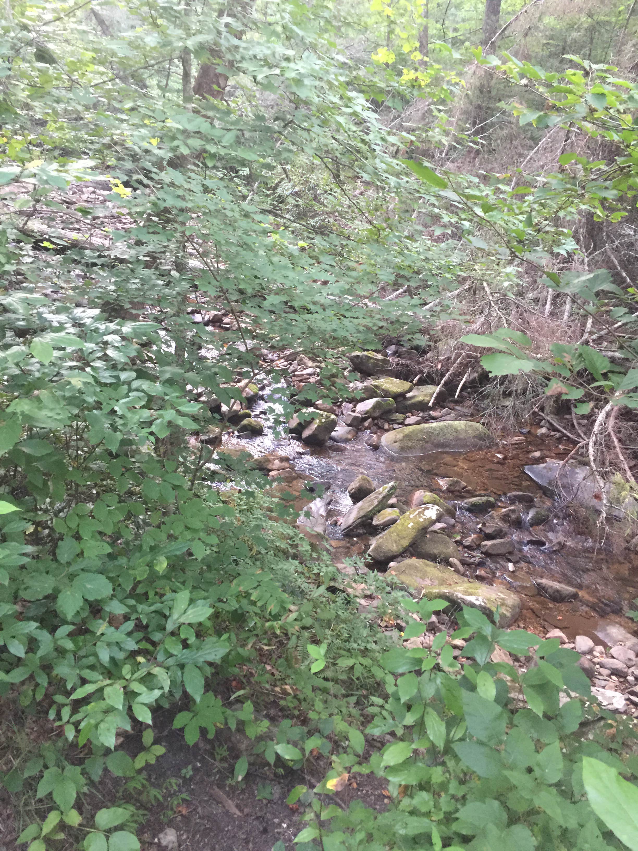 Water