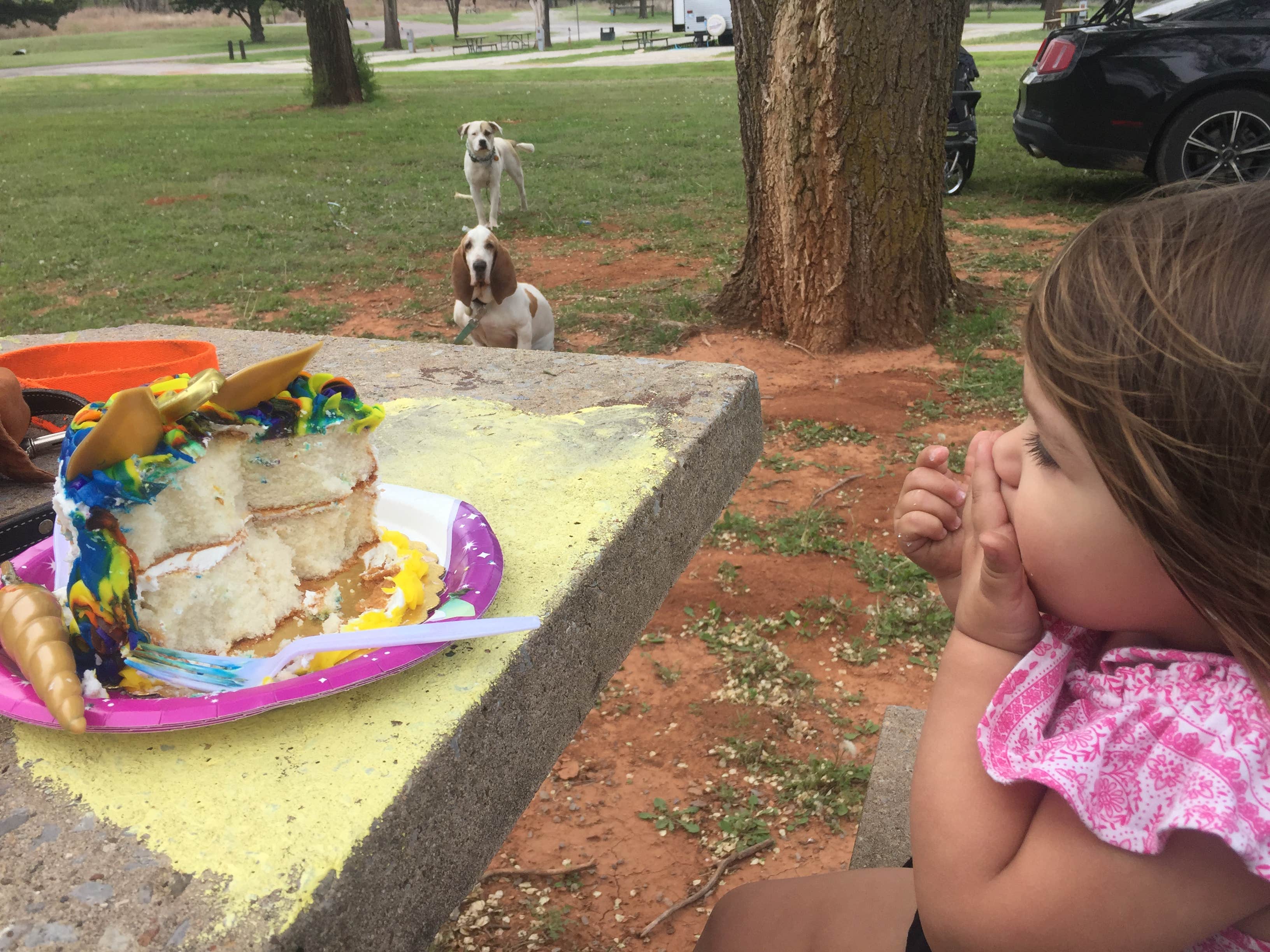 Valerie C.'s photo of camping with pets at Foss State Park Campground near Elk City, OK